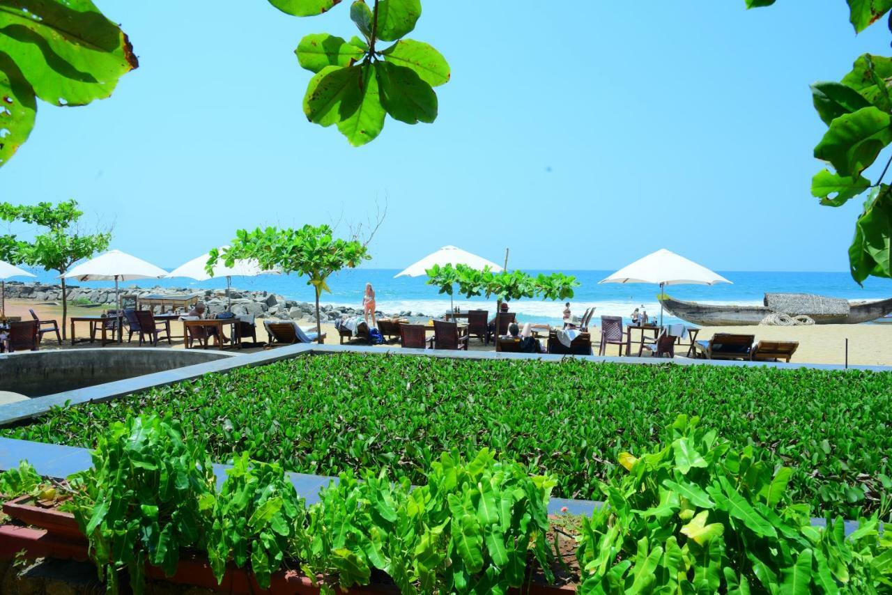 Palm Tree Anex Hotel วาร์คาลา ภายนอก รูปภาพ
